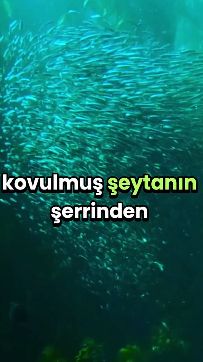 hacet duası,dua dinle,faziletli dualar,sabah