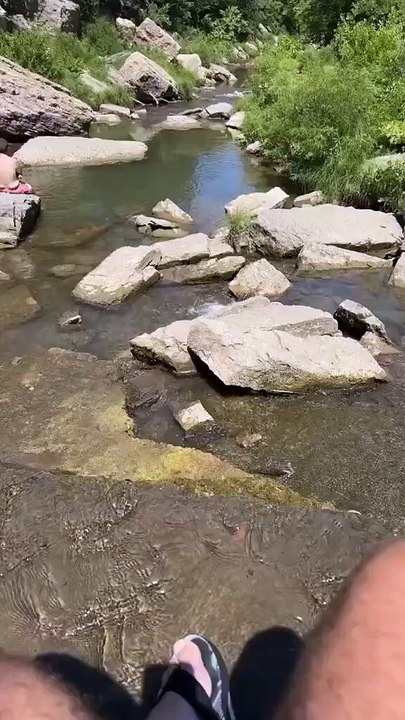 Today I learned turtles eat snakes
