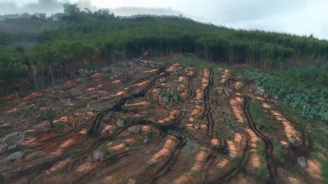 Reporte Climático 198 | Salmoneras, valiosos ecosistemas marinos de Chile