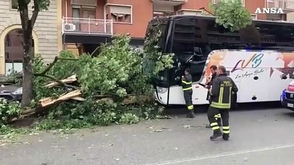 Torino, incidente per un pullman con scolaresca francese: 5 feriti