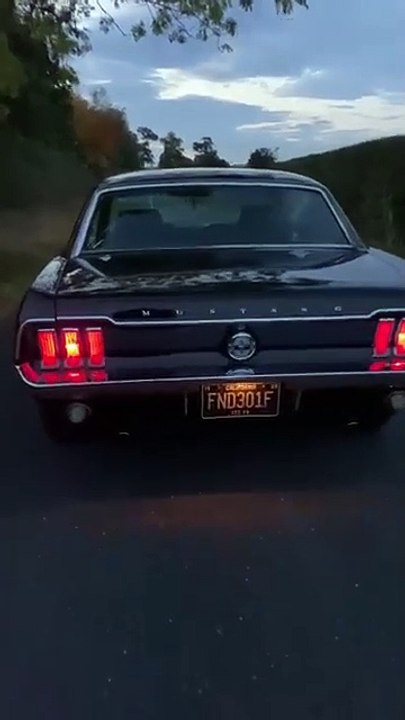 videoplayback 7