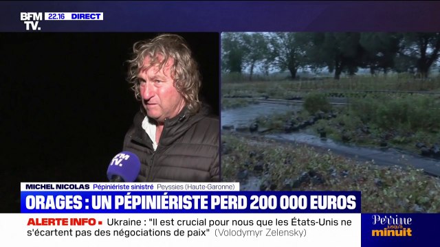 Orages: un pépiniériste perd 200.000 euros après les intempéries en Haute-Garonne