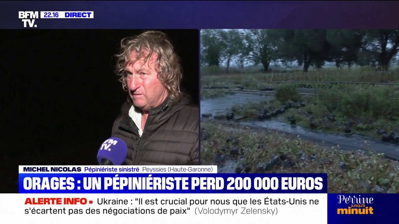 Orages: un pépiniériste perd 200.000 euros après les intempéries en Haute-Garonne