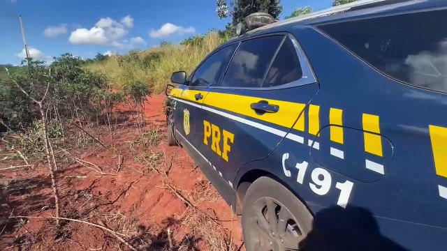 Cruzeiro do Oeste: PRF apreende 50 mil maços de cigarros escondidos embaixo de tijolos