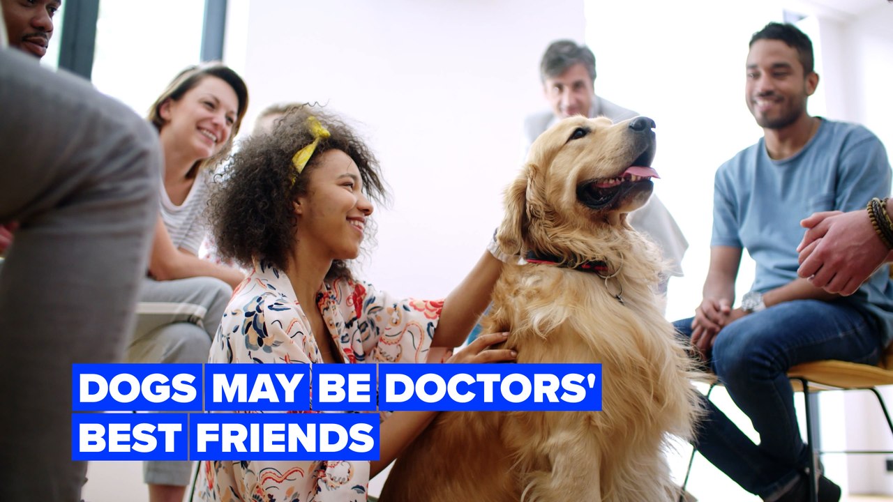 Dogs can reduce pain