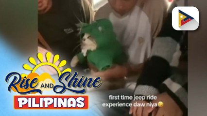 Sunshine Stories | Passenger Princess na pusa, kinagiliwan online!