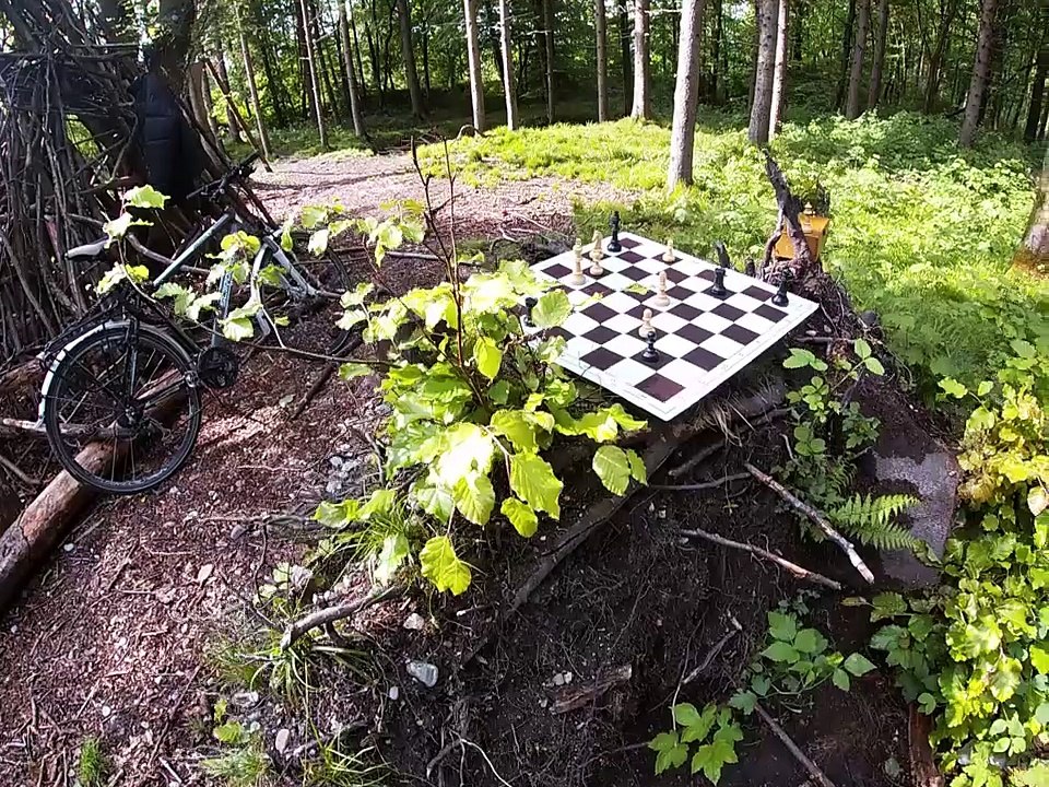 Detailed explanation of a stalemate study – By Peter Krug