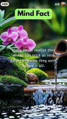 Mind Fact - Many Never Realize that minds can....