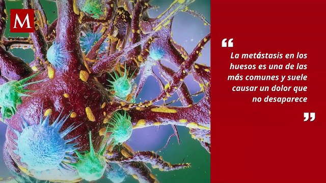 ¿Estaba Biden capacitado para gobernar? Revelaciones impactantes