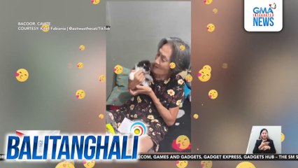Surprise video ng isang ina matapos makatanggap ng regalong pusa, benta online | Balitanghali