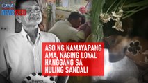 Aso ng namayapang ama, naging loyal hanggang sa huling sandali | GMA Integrated Newsfeed