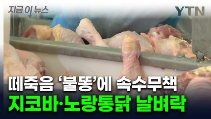 이러다 '치킨값 3만원' 공포...비상 걸린 사장님들 [지금이뉴스]  / YTN