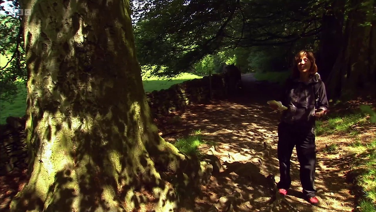 Wainwright Walks episode 6