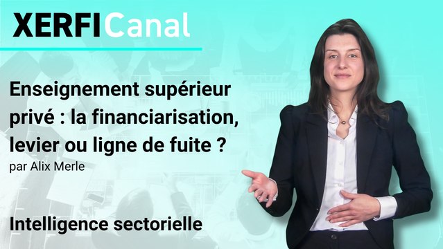 Enseignement supérieur privé : la financiarisation, levier ou ligne de fuite ? [Alix Merle]