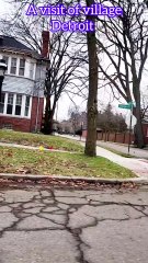 Visit of village Detroit