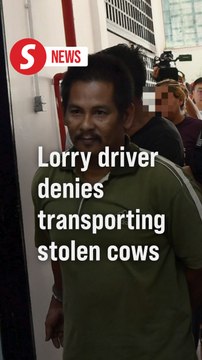 Lorry driver in FRU crash pleads not guilty to concealing stolen cows