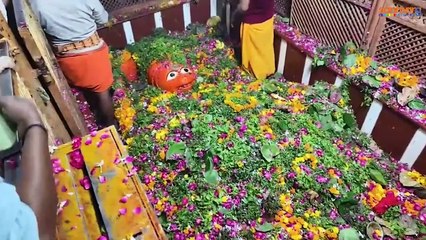 Hanuman Mandir_ श्री बड़े हनुमान जी मंदिर में उमड़ा श्रद्धालुओं का सैलाब