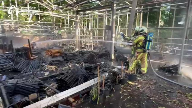Incendie au parc Josaphat à Schaerbeek: une serre complètement détruite
