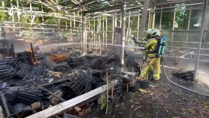 Incendie au parc Josaphat à Schaerbeek: une serre complètement détruite