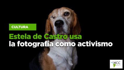 Estela de Castro usa la fotografía como activismo