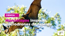 Murciélagos inspiran microdrones de rescate