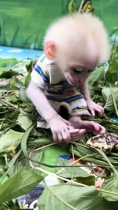 Hello do you miss me 🙊🙊❤️❤️