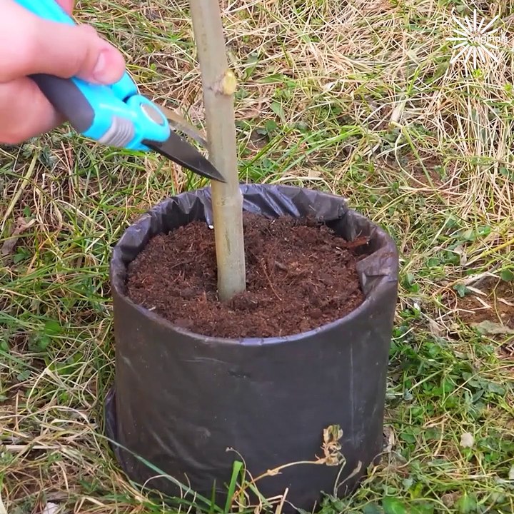 DIY home hacks for every problem out there!