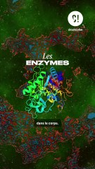 Comment fonctionne le venin de serpent ?!