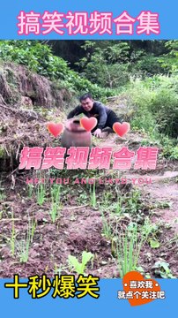 Funny video collection. Watch it and laugh. Forget your worries with a smile every day. If you can't hold it back, just laugh. Make you laugh and forget your worries. Never expected