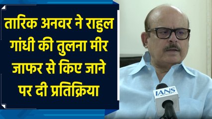 Tariq Anwar ने Rahul Gandhi की तुलना Mir Jafar से किए जाने पर दी प्रतिक्रिया
