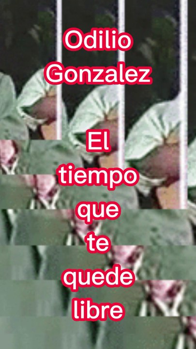 Odilio Gonzalez El tiempo que te quede libre