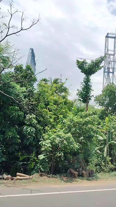 Exploring Urban Aesthetics: A Journey Through Industrial Landscapes