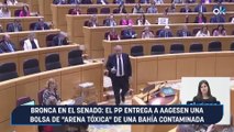 Bronca en el Senado: el PP entrega a Aagesen una bolsa de 
