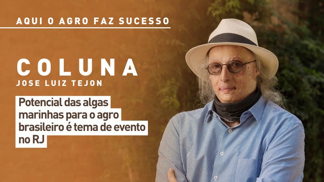 Aqui o agro faz sucesso: potencial das algas marinhas para o agro brasileiro é tema de evento no RJ