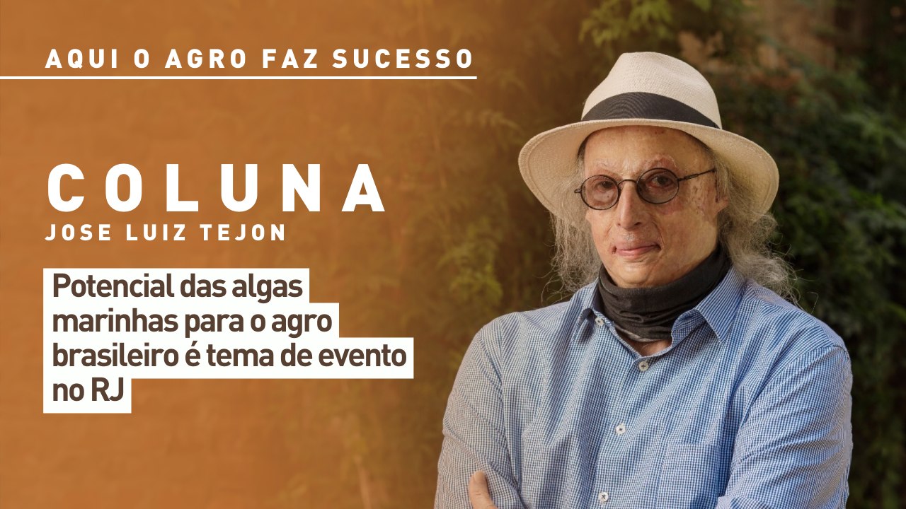 Aqui o agro faz sucesso: potencial das algas marinhas para o agro brasileiro é tema de evento no RJ