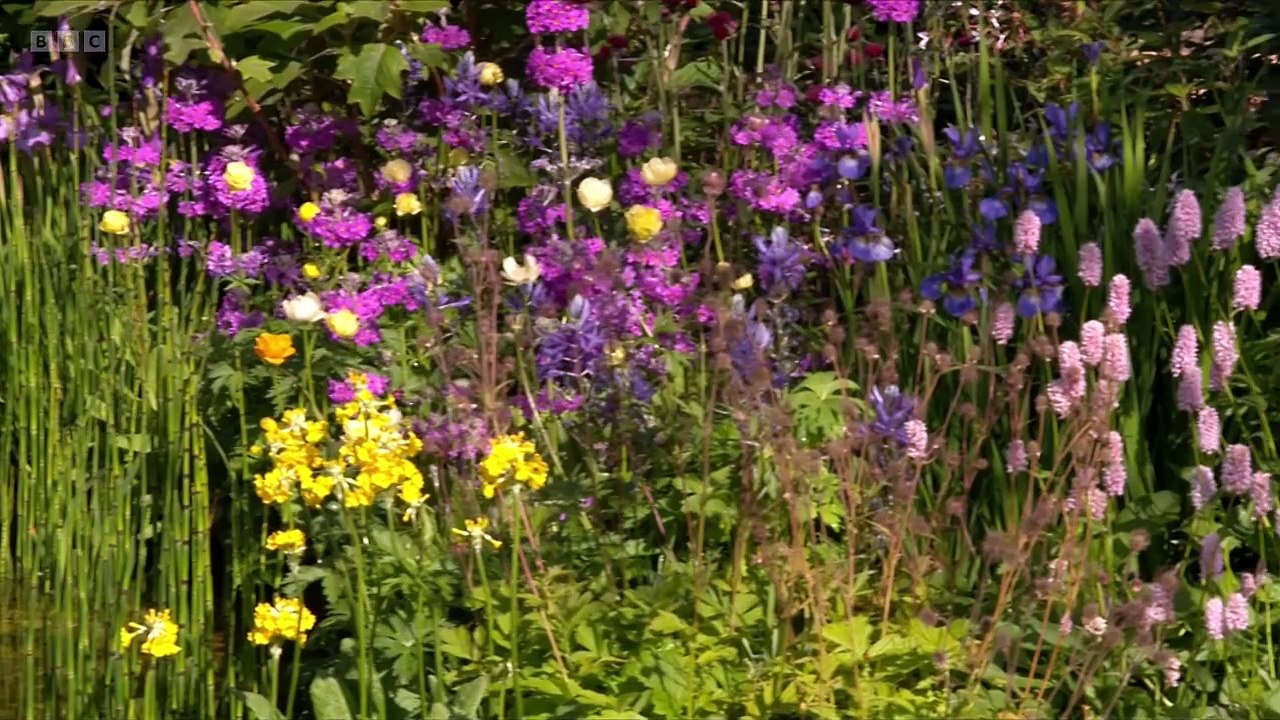 RHS Chelsea Flower Show 2025 episode 3