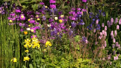 RHS Chelsea Flower Show 2025 episode 3