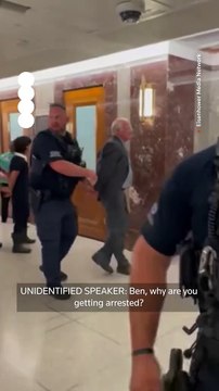 Ben Cohen, co-founder of Ben & Jerry's ice cream, was arrested & dragged out of a Senate hearing by U.S. capitol police after protesting the war in Gaza during Robert F. Kennedy Jr.'s testimony. You're killing poor kids in Gaza & paying for it by cutting
