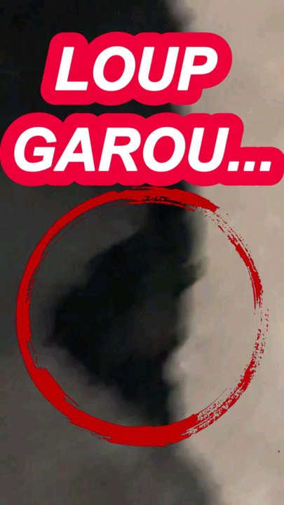 RÉEL LOUP GAROU #mystere #horror #paranormal