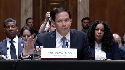 Marco Rubio’s Senate hearing shocked by protester’s sudden interruption