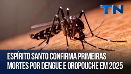 Espírito Santo confirma primeiras mortes por dengue e Oropouche em 2025
