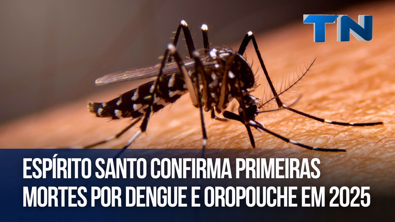 Espírito Santo confirma primeiras mortes por dengue e Oropouche em 2025