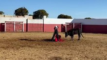 Borja Jiménez en Charro de Llen parte 1