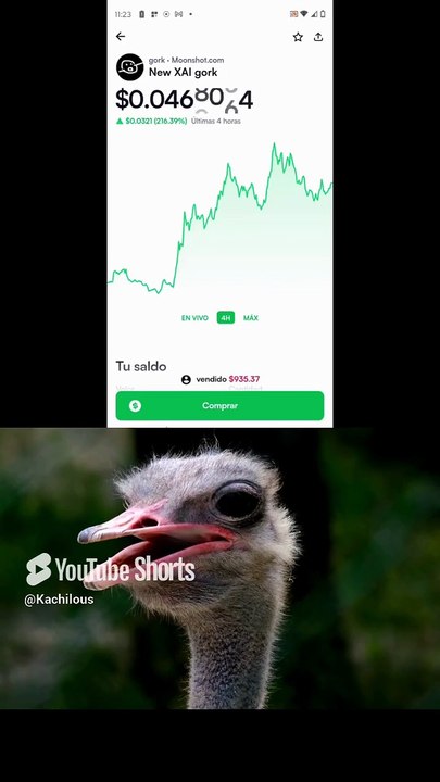 Gork Meme Coin is up 900,000% and is now on Moonshot