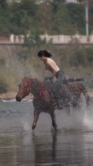 حلم شغف #حلم #شغف #متعة