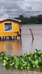 Idosa de 81 anos viraliza ao pular de trapiche no rio 🚤