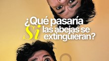 ¿Qué pasaría si las abejas se extinguieran?