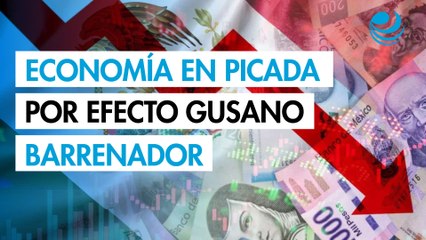 Economía mexicana se contraería en el segundo trimestre por efecto gusano barrenador