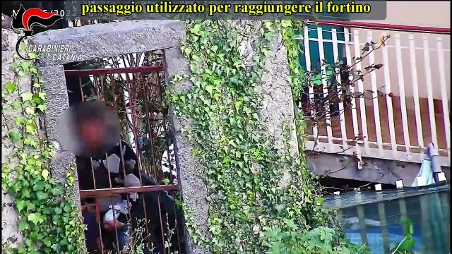 Palermo - DROGA. TRAFFICO E SPACCIO ALL'OMBRA DELLA MAFIA CATANESE, 14 MISURE (20.05.25)