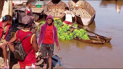 la culture et la route de fou pour aller cherche nôtres vanille à Madagascar